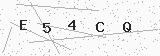 Captcha de seguridad
