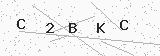 Captcha de seguridad
